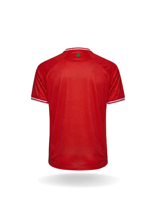 Back view of the red Kelme Lebanon National Team home jersey displaying white trimmed cuffs and a small green cedar tree printed below the collar.