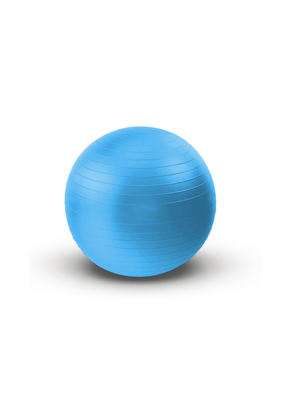 Exercise & Stability Fitness Swiss Ball