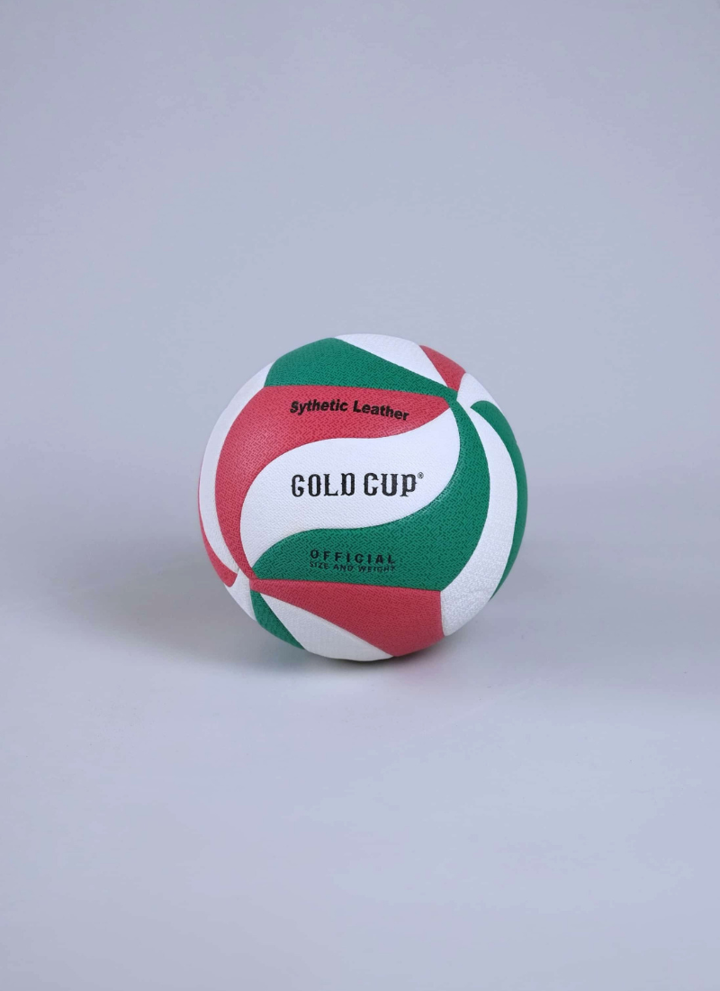 Gold Cup Indoor/Outdoor Volleyball Size 5 – Green/White/Red