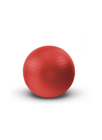 Exercise & Stability Fitness Swiss Ball